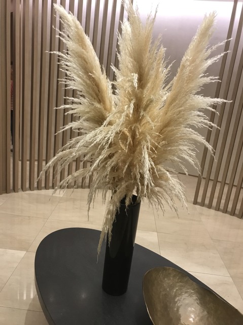S__13426708.jpg